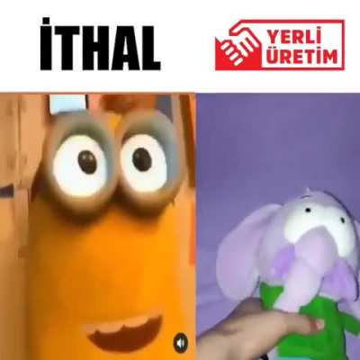 Yerli ve milli