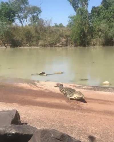 Two people fishing in Australia get a visitor when they make a catch.