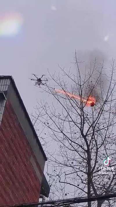 A flamethrower drone taking out a wasp nest