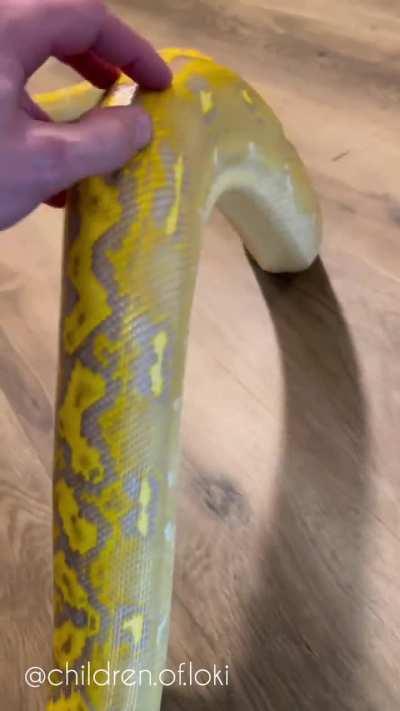 Python reacting to scratches