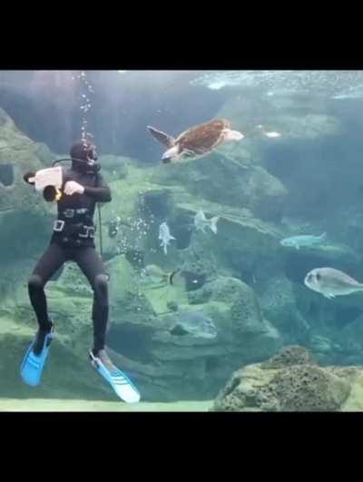 This scuba diver creatively defending himself against a rogue sea turtle