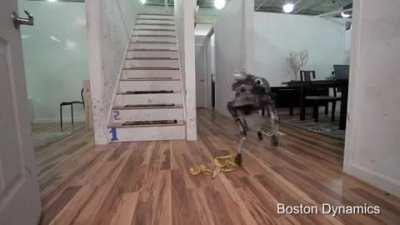 Robot dog slips on banana peel