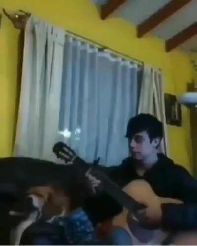 WCGW playing guitar next to my dog