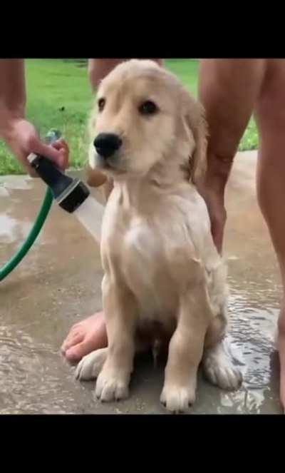 Golden baby bathes