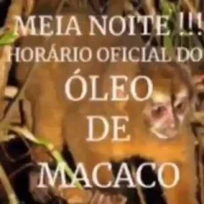 Meia noite rapaziada 🐒