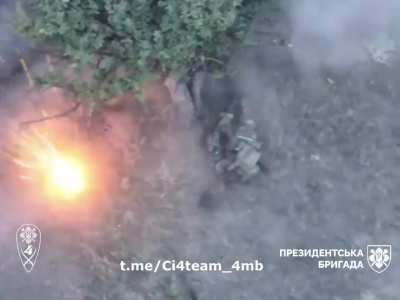 Ci4 follows and fatally wounds a Russian invader around a tree.