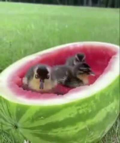 Watermelon spa