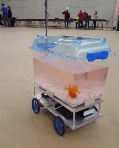 This fish can decide where to go by controlling its robotic fish tank