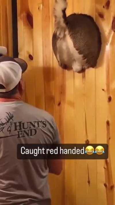 caught red handed!