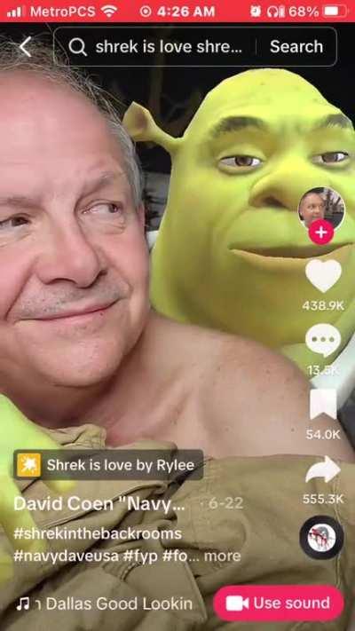 poor Shrek 