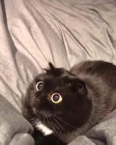 Cursed_eyes