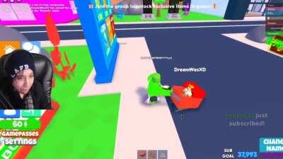 Quackity Tries To Kidnap Dream In ROBLOX