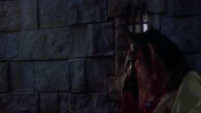 I don't blame the horse (scene from Robin hood men in tights)