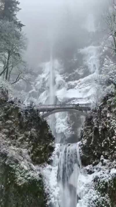 🔥 Multnomah Falls is the tallest waterfall in the state of Oregon.