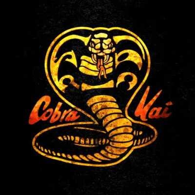 I made a Fan Art Animated Logo for Cobra Kai