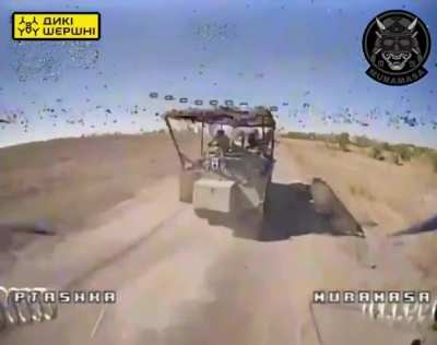 The MURAMASA unit of the 109th Territorial Defense Brigade used personalized Wild Hornets drones to hit Russian soldiers, motorbikes, supply trucks, transport vehicles and other enemy equipment. Pokrovske direction. September 2024.