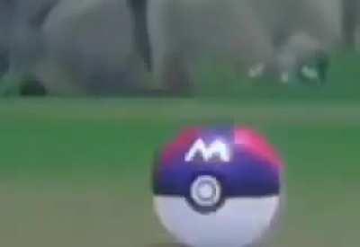 This PokeBall, to hold, ME?