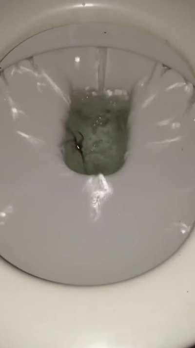 Flushing the toilet