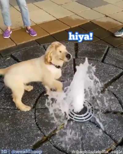 Repost from instagram, but hope you will enjoy this doggo splishing 'n splashing