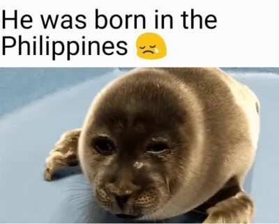 Philipeno Pride 🇵😳🇵🇭😎😁💯🇭