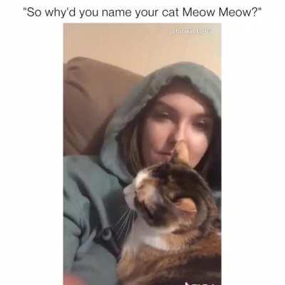 Not a yell but a meow