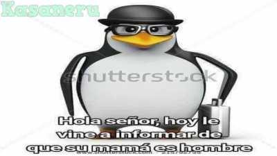 Y así es como conocí el shittpost 👌😎