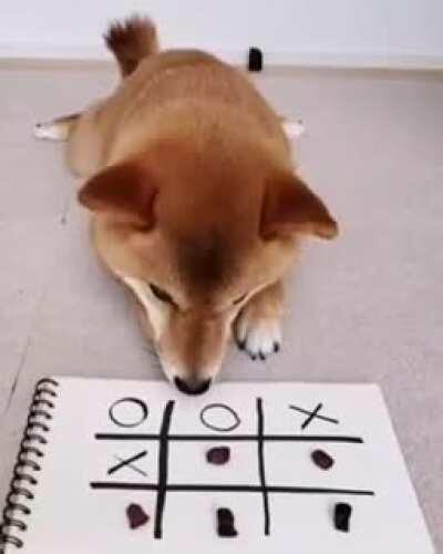 He mastered tic-tac-toe