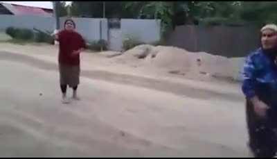 Two babushkas fighting in a village in Romania