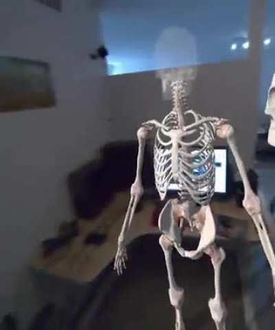 Understanding human anatomy using Augmented Reality