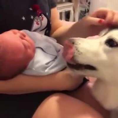 She's in love with the new tiny human