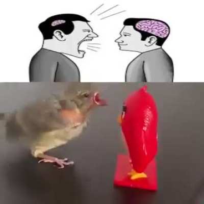 Berb