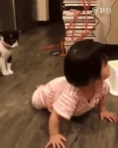 Why did she do that hhhh what would your reaction be if your cat did the same to you?