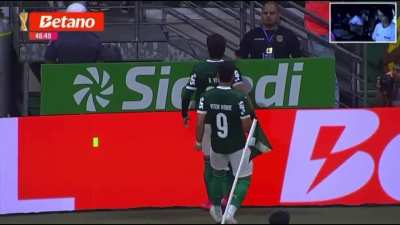 palmeiras