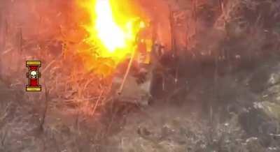 Destruction of Russian self-propelled gun 2S5 Giatsint-S in Donetsk region