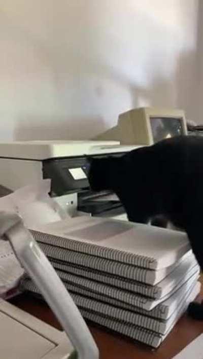 Printer 1 Cat 0