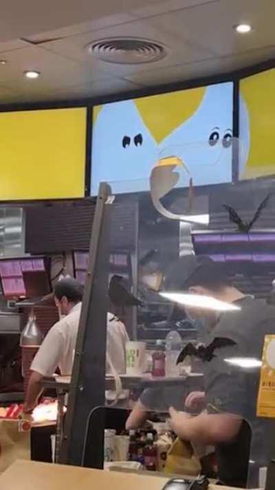 Horny McDonald's ghosts