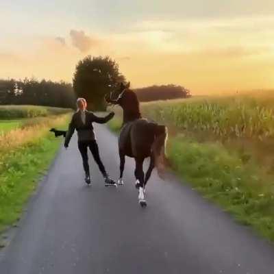 Putting on some Rollerblades and enjoying day with horse and dog in the sunset