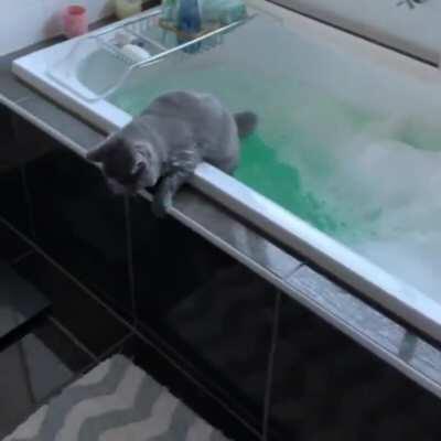 Kitty discovers soap suds won't support his weight