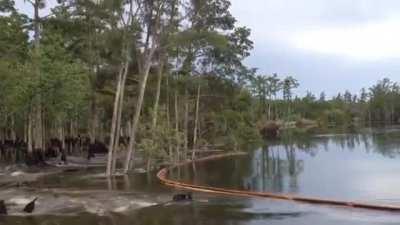 The depth of underwater sinkholes can be mind-boggling.