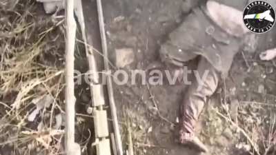 Ukrainian drone operators, drop a grenade and land a direct hit on a russian solder. 18+ 