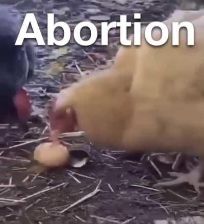 mmm tasty fetus