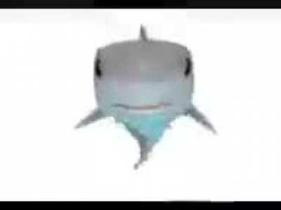 Shark Pog