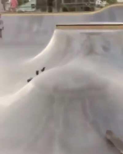 The next level slide