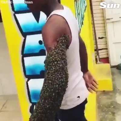 Man carries an entire bee colony on his arm by holding the queen in his fist.