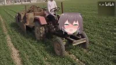 Matsuri on a farm