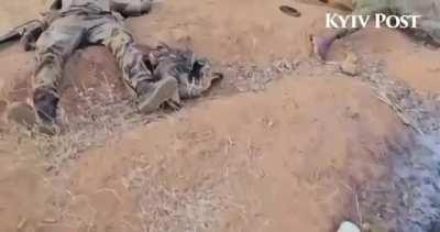 NSFW. Special forces of the GUR MO of Ukraine show killed and captured mercenaries of the PMC Wagner in Sudan