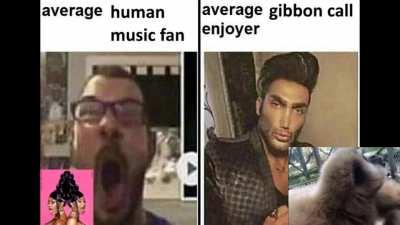 Average human music fan vs average gibbon call enjoyer