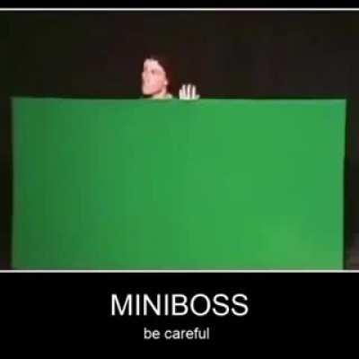 MINIBOSS (be careful)