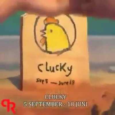 RIP Clucky, the Chicken.