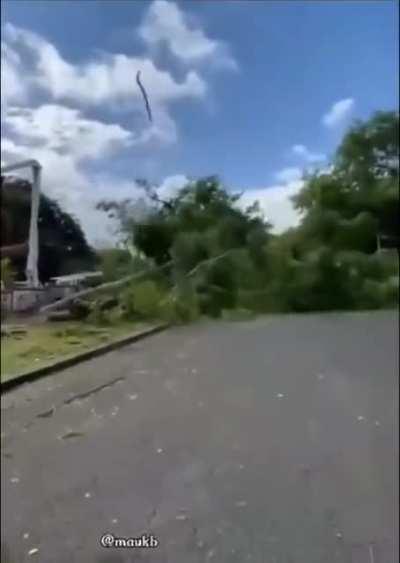 WCGW Cutting A Tree